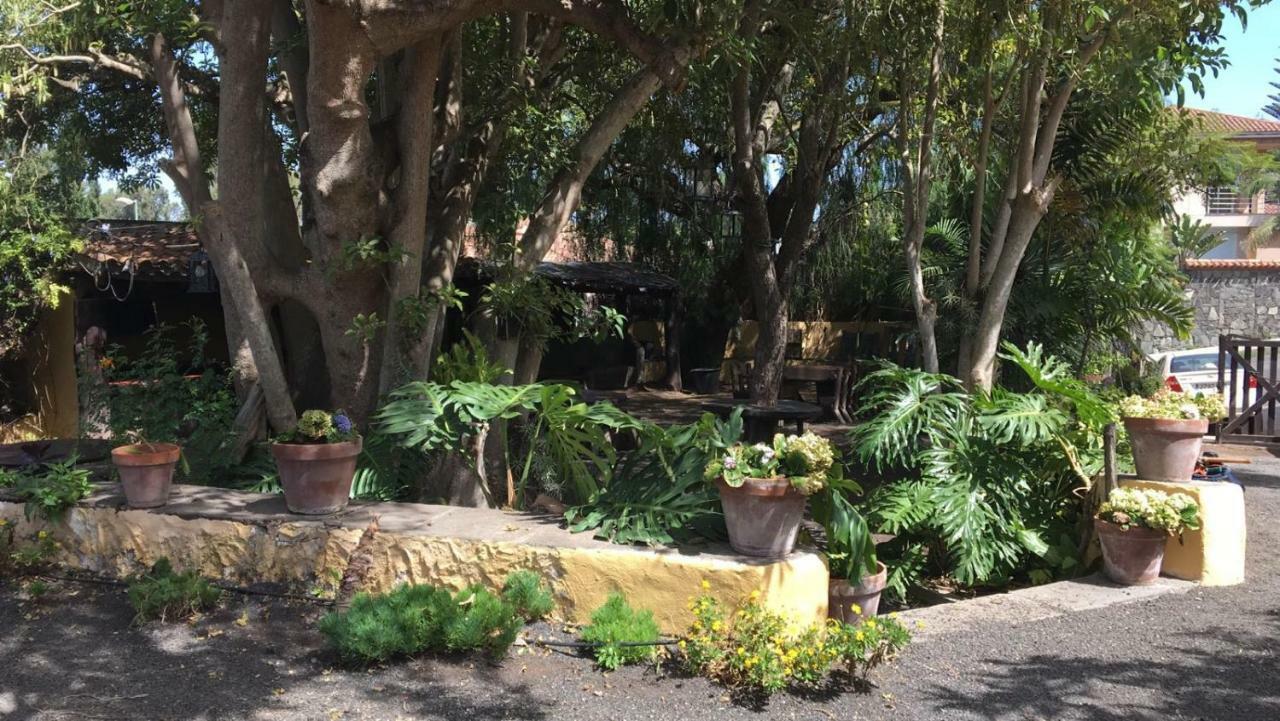 Bellasombra Suites Las Palmas de Gran Canaria Exteriör bild