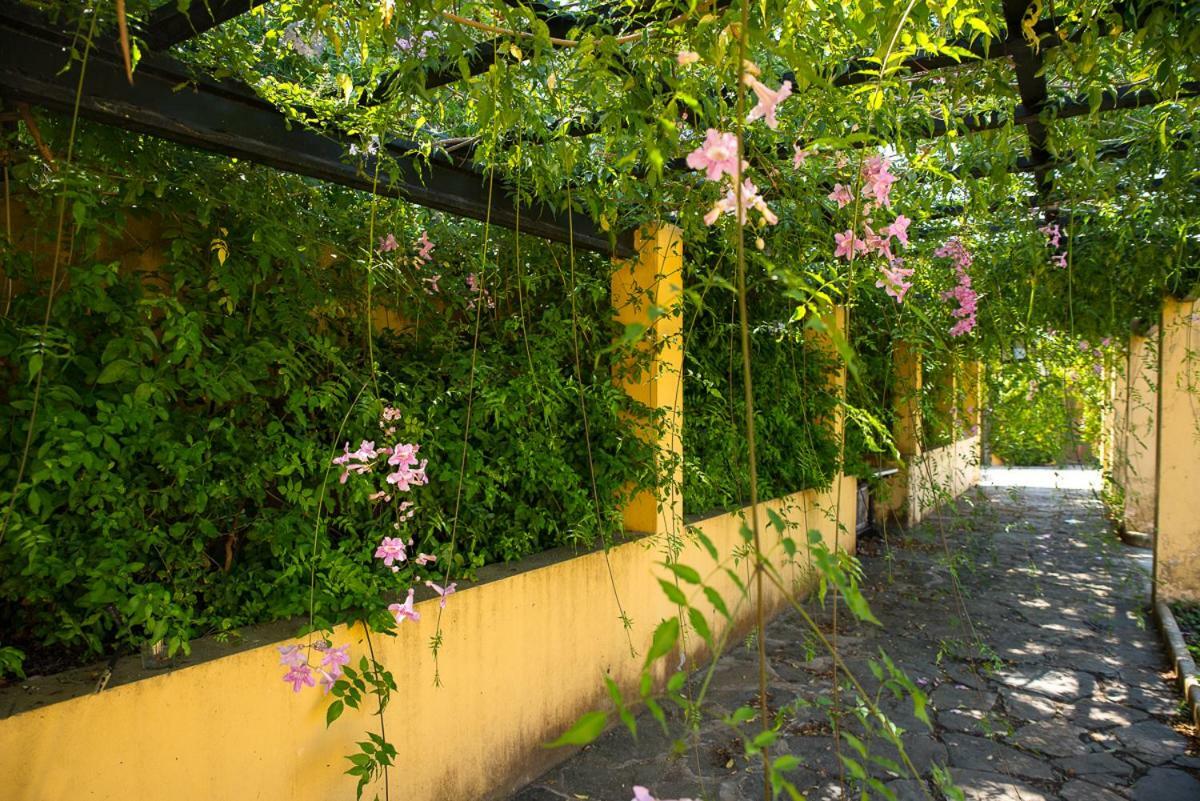 Bellasombra Suites Las Palmas de Gran Canaria Exteriör bild